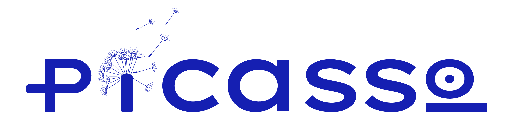 PiCaSSo